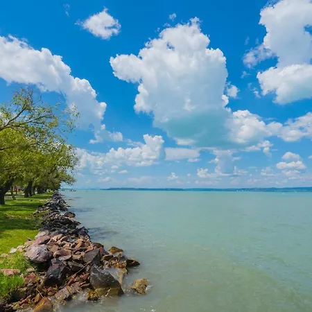 Mf Zara 1002 * 시오포크