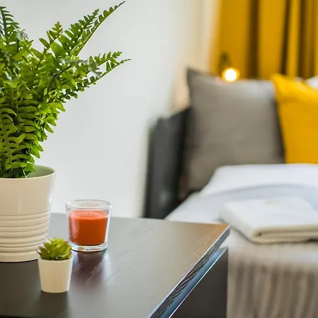 Mf Zara 1002 Apartment